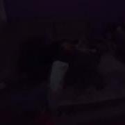 Gus Harrison SoFaygo Rock Out Official Visualizer