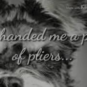 Dog Teeth By Nicole Dollanganger
