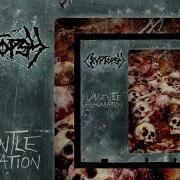 Cryptopsy Back To The Worms Mutant Christ HQ 1993