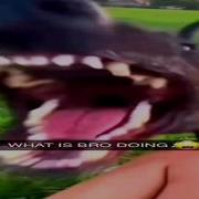 Perfectly Cut Screams Memes 104