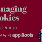 Managing Cookies With Selenium Java Test Automation Cookbook