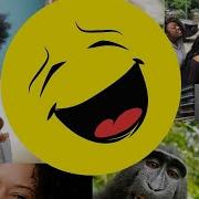 Contagious Laugh Compilation 11