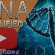 DNA Structure And Function Of Deoxyribonucleic Acid DNA