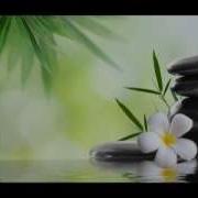 Lotus Blossom 7 Chakras Healing Chakra Balancing And Opening Kundalini Yoga
