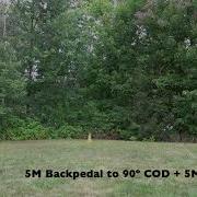 5M Backpedal To 90º COD 5M Sprint