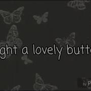 Weezer Butterfly Lyrics