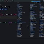 BASH Scripting Part 4