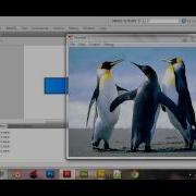 Adobe Flash Professional CS5 Tutorial Preloder