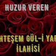HUZUR VEREN MUHTEŞEM GÜL İ YAREM İLAHİSİ