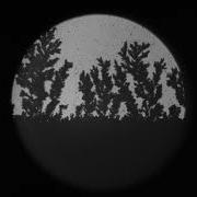 Dendrite Growth During Electrodeposition