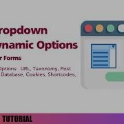 Create A Dynamic Dropdown List For Elementor Forms Dynamic Field Plugin Tutorial