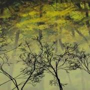 Tree Generation Test