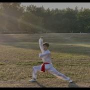 5th Level Chang Quan By Alex Zhou