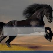 Encrypt Protect HTML Code