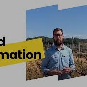 Lluis Nache Explains Yield Estimation