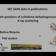 SEC SAXS Data In Publications With Bettina Motycka