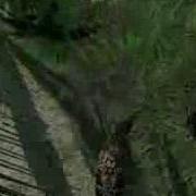 Crysis BETA Multiplayer WATERFALL