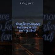 Zakkum Hatıran Yeter English Lyrics