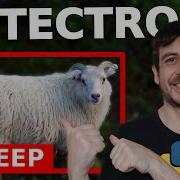 Train Detectron2 Object Detection Custom Data Computer Vision Tutorial