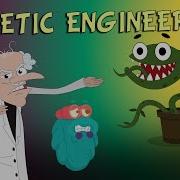 GENETIC ENGINEERING What Is GENETIC Engineering Genetics The Dr Binocs Show Peekaboo Kidz