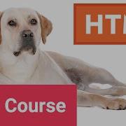 Learn HTML Basics