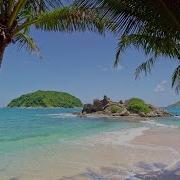 Tropical Beach With Waves Crashing On Sandy Shore White Noise For Meditation Sleep 4K UHD