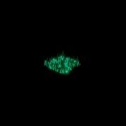 Rootkit Oh You Bass Boosted HOLIDAY BOYZ BBT NoCopyrightSounds