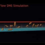 Simulation Of Floating Particles