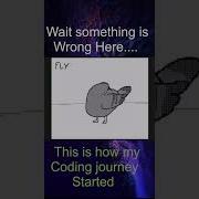 Coding A Pigeon To Fly Gone Wrong Neck Rotation Mode Activated Coding Memes Shorts Funny