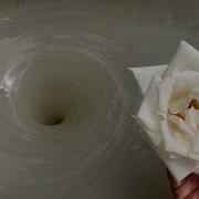 Amazing Water Vortex Experiment Whirlpool Hole Vs White Flowers