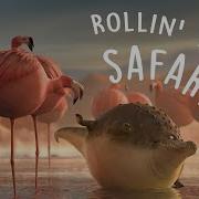 ROLLIN SAFARI What If Animals Were Round