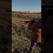 AR 15 Rapid Fire