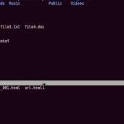 Basic Linux Shell Commands Part 1