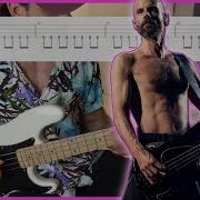 RAMMSTEIN Rosenrot BASS COVER TAB LESSON