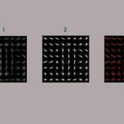 Visualize HOG Features