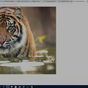 IMAGE CLASSIFICATION USING DEEP LEARNING AND MODEL DEPLOYMENT USING DJANGO PART 1