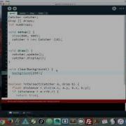 Programming Setting Up The Catcher Game