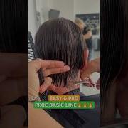 EASY AND PRO PIXIE BASIC LINE Complete Tutorial Linked Below