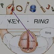 2 Split Brain Research