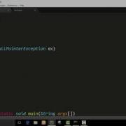 Throw NullPointerException Java Programs