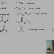Overview Of Sulfur Containing Functional Groups