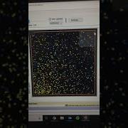 Netlogo Diffusion Simulation
