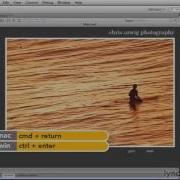 108 Flash AS3 TweenLite To Animate Images