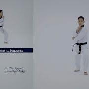 9th Dan Basic Movements Sequence
