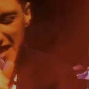 The Trashcan Sinatras Obscurity Knocks Official Video