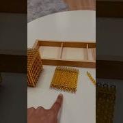 Intro Tray Golden Bead 1000 100 100k One Mathematics Simple World Education Fun Delight