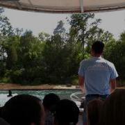 JAWS Experience The Jaws Ride Universal Studio S Orlando Florida