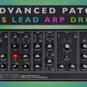 Moog Grandmother Modular Experimental Patches Sound Demo