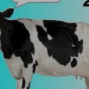 Cow Error 231