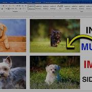How To Insert Multiple Images In MS Word